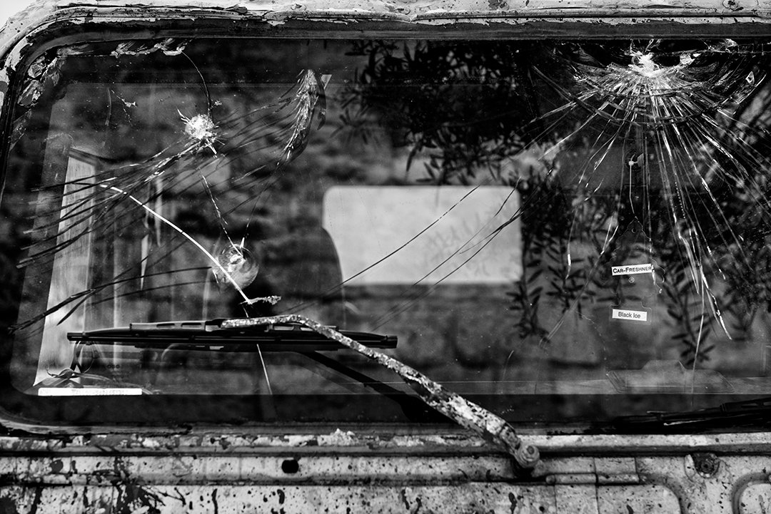 A cracked vehicle windscreen reflecting vegetation.